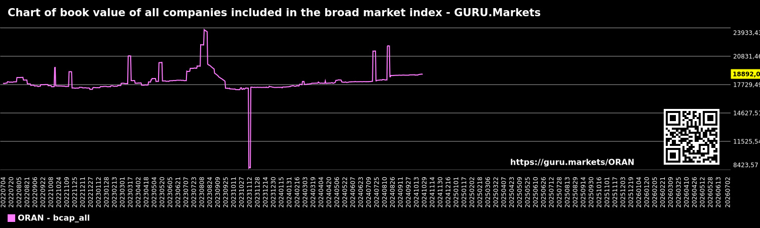 Chart of book value of all companies included in the broad market index - GURU.Markets